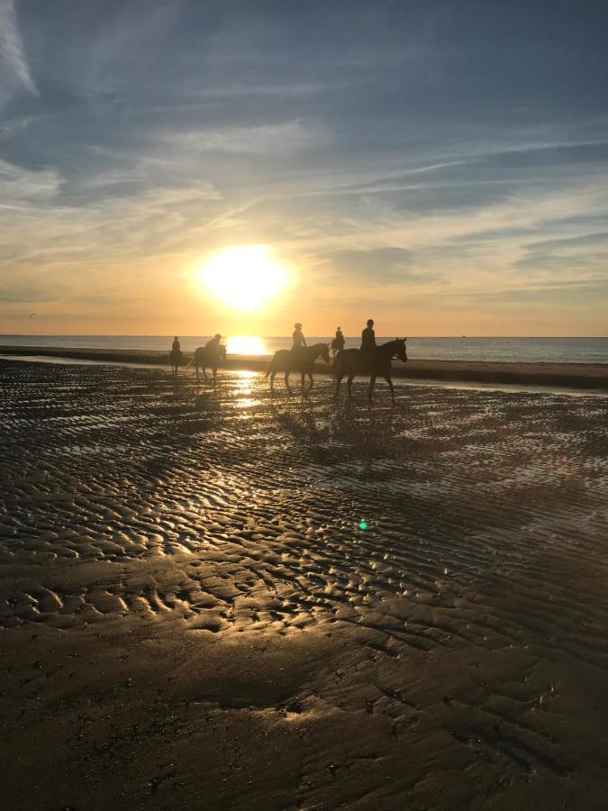 Gasthuis Etoile Aan Zee